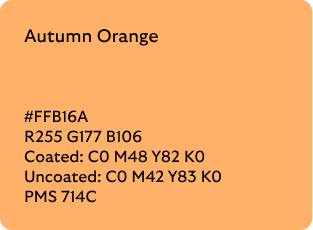 Autumn Orange colour codes

Hex: FFB16A

RGB: R255 G177 B106

Coated CMYK: C0 M48 Y82 K0

Uncoated CMYK:  C0 M42 Y83 K0

Pantone Matching System:  714C