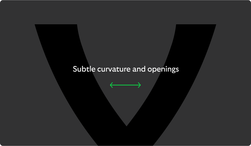 Example shows its subtle curvature and openings